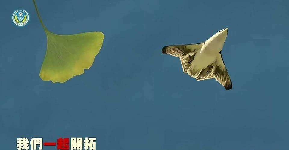 运20全新宣传片曝光完整家族，片尾“小六”一闪而过，国产大飞机十年完成史诗级蜕变