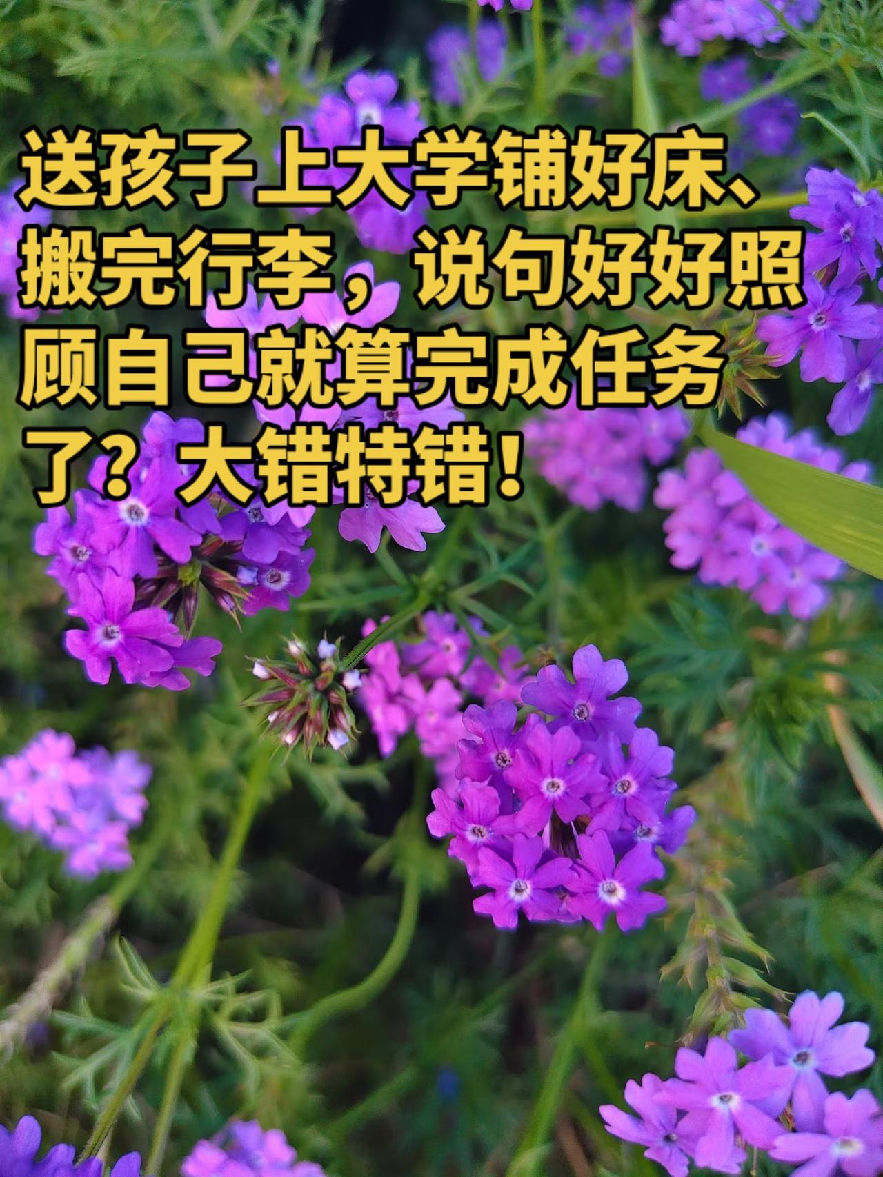 送孩子上大学，别忘了讲这7句话！你以为送孩子上大学铺好床、搬完行李，说句好好照顾