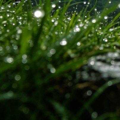 阳光信用🌞阳光信用 🌞每日一善 人生最大的喜悦，就是遇见彼此同频道的那一盏明
