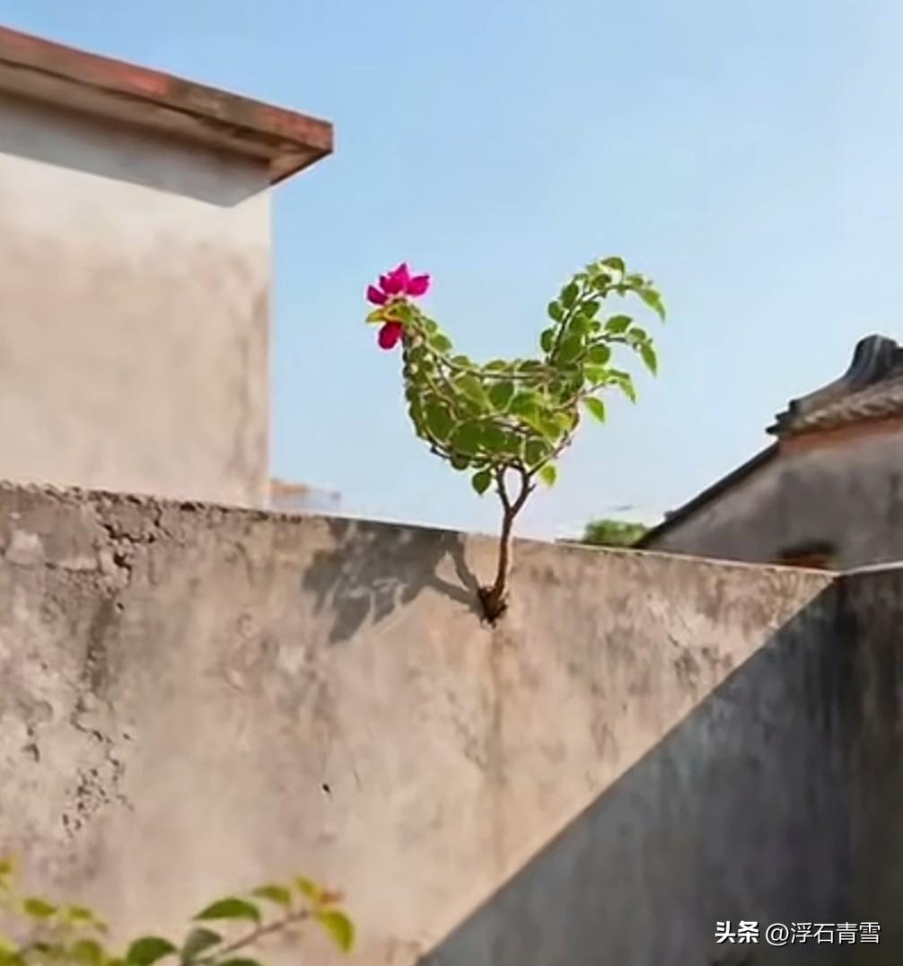 2026年普通人要节衣缩食，美以伊战争效应外溢的第一波涨价潮来了，本人的切身的几