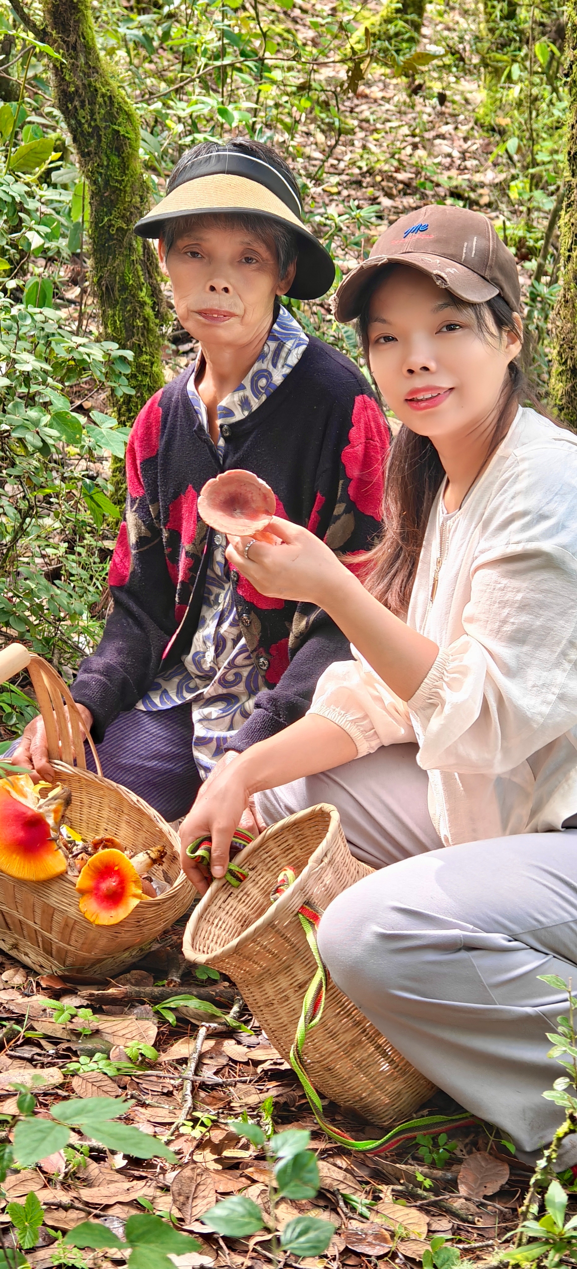 丽江采摘野生菌活动，今年最后几天‼️我们都是有资深向导带队的游玩的，往返车费➕深