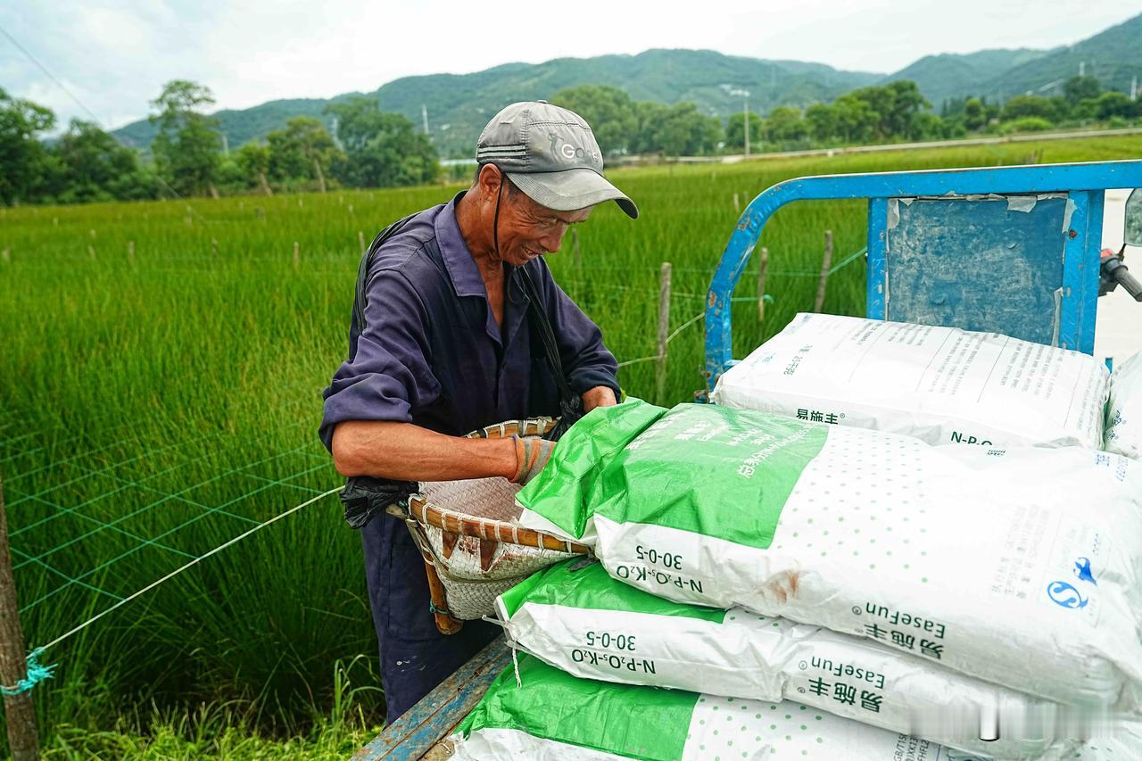 【蔺草田间遇江西务工老哥，一身汗水藏着朴实】前几日在宁波古林采风，恰逢蔺草收割筹