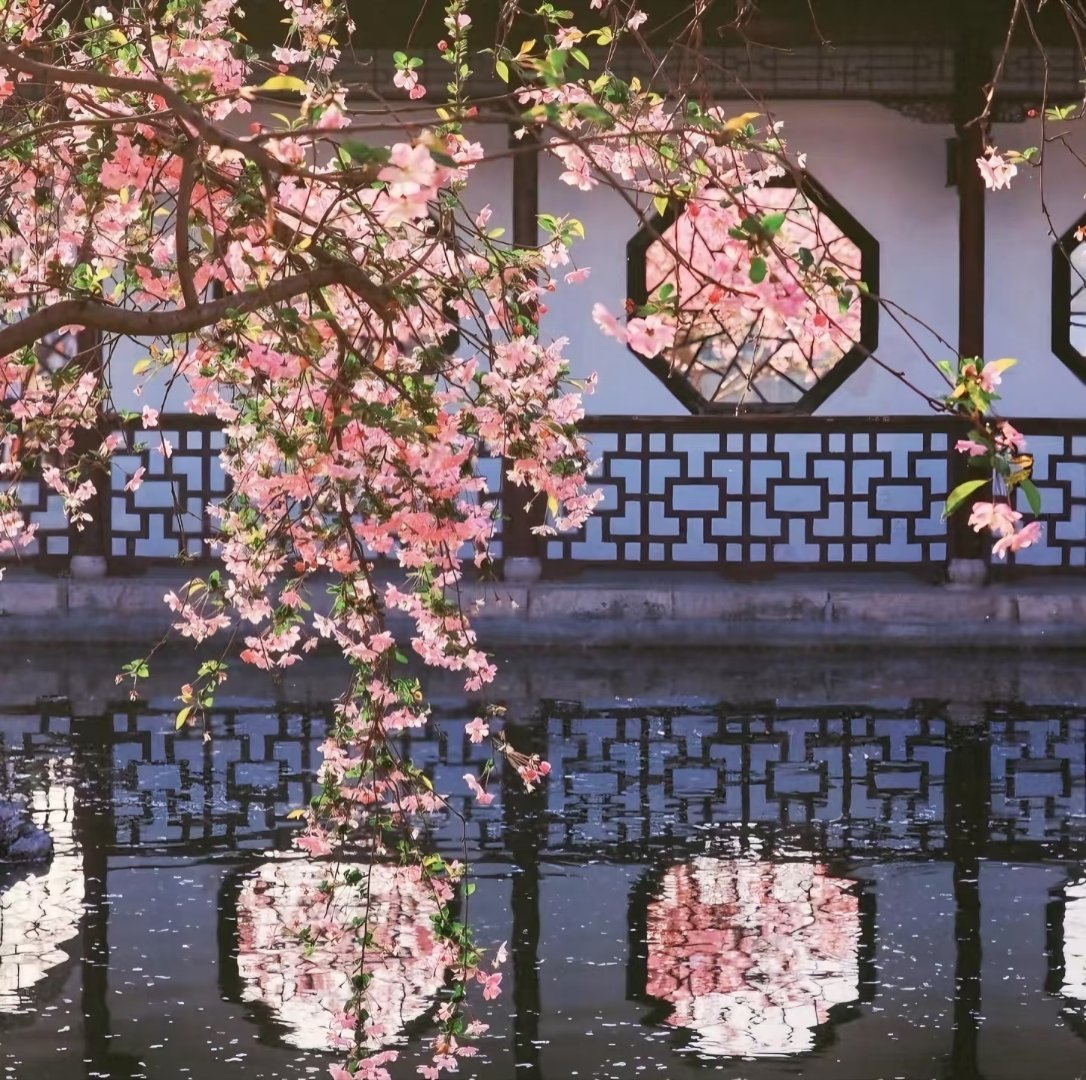宠辱不惊，看庭前花开花落；去留无意，望天上云卷云舒。——洪应明《菜根谭》 