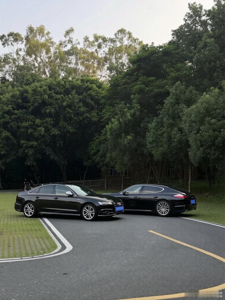 美好的午后，两台V8双涡轮轿车的集会 ​​​