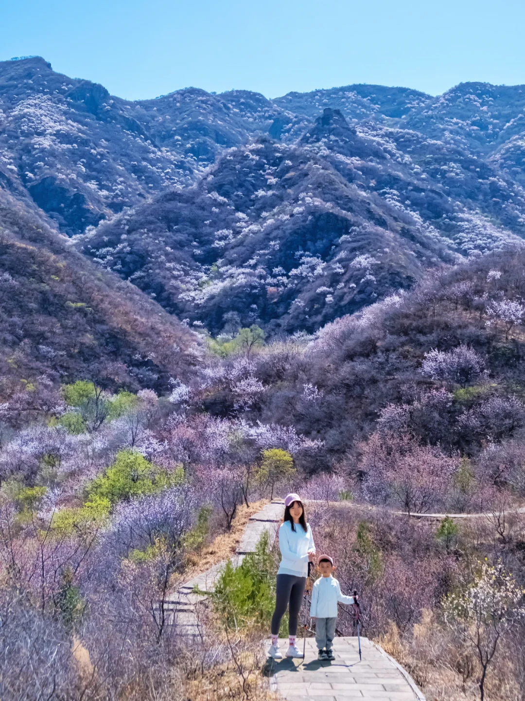 京郊1h徒步⛰穿行漫山桃花🌸5km环线‼️低幼🉑