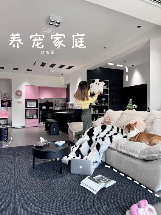 我悟了！小户型的养宠家庭，沙发选择太重要啦