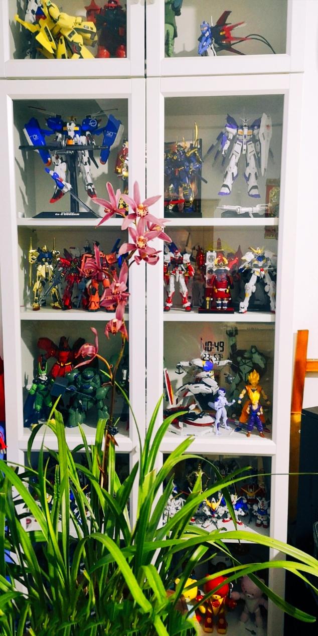 兰花开了，亭亭玉立，一缕幽香，漫染时光。