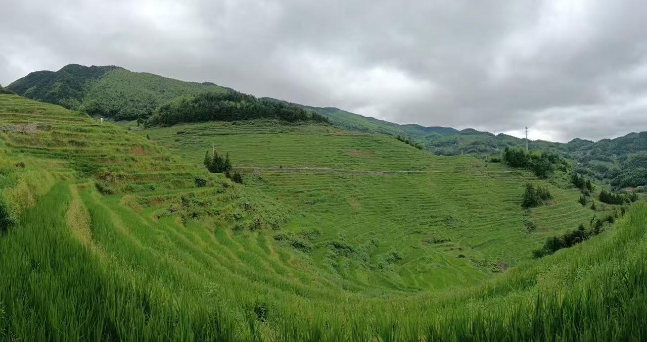 湖南娄底游，游玩紫鹊界梯田仙境攻略！
📍湖南娄底新化县水车镇·紫鹊界梯田
🎫