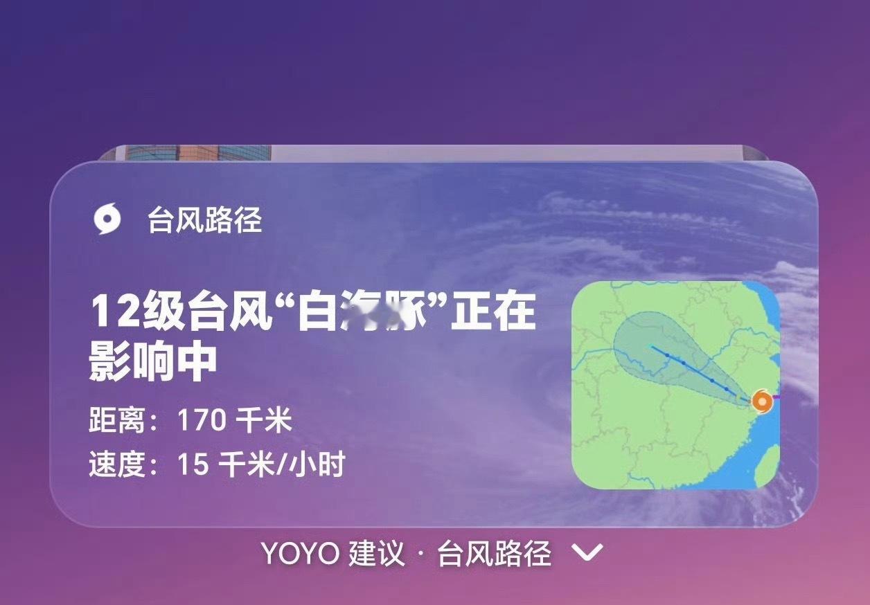 低估了白海豚 台风天真的不要去海边，非必要不出门，一定要敬畏大自然