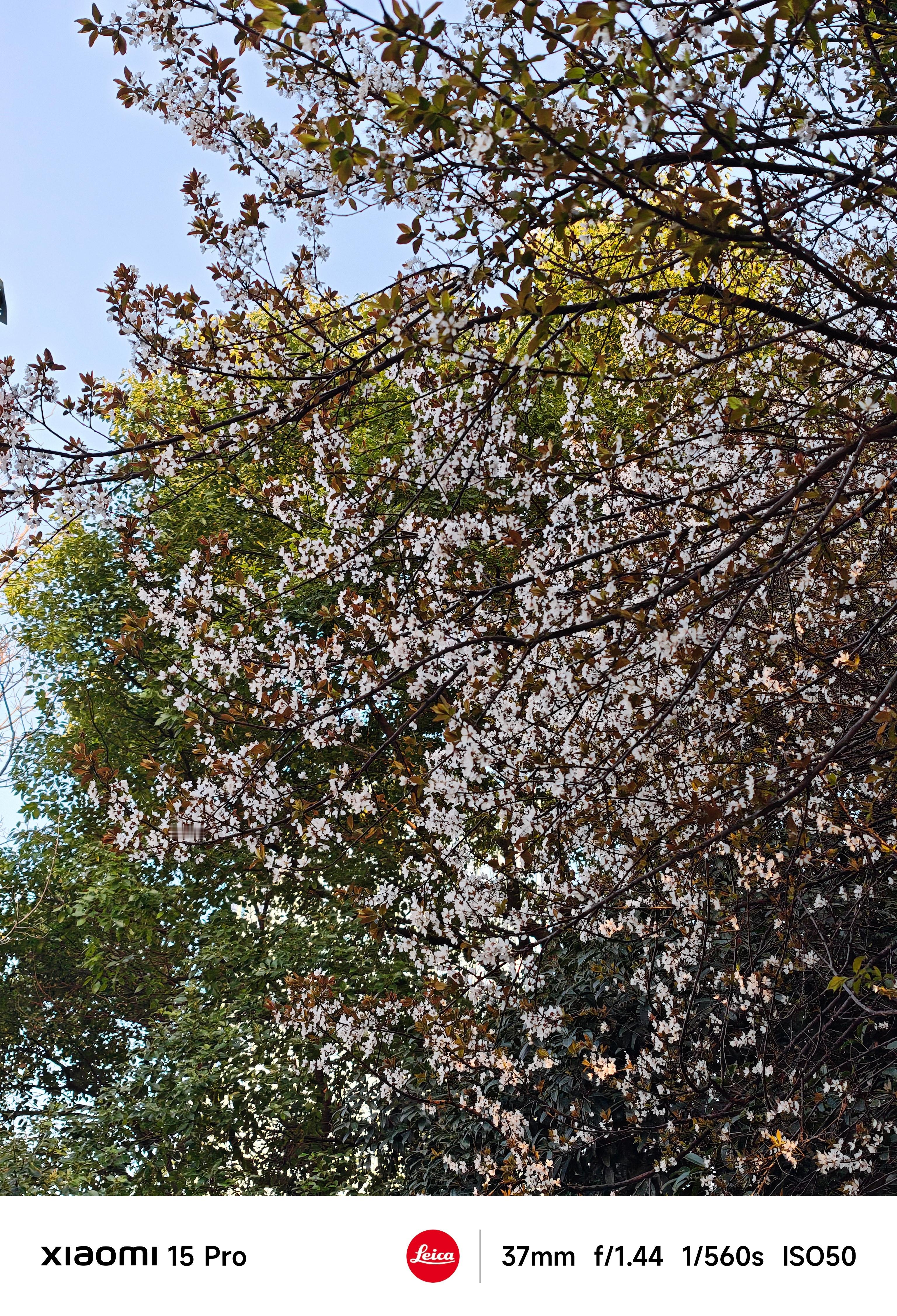 早，朋友们！又是新的一天🌹金价银价下跌原因找到了