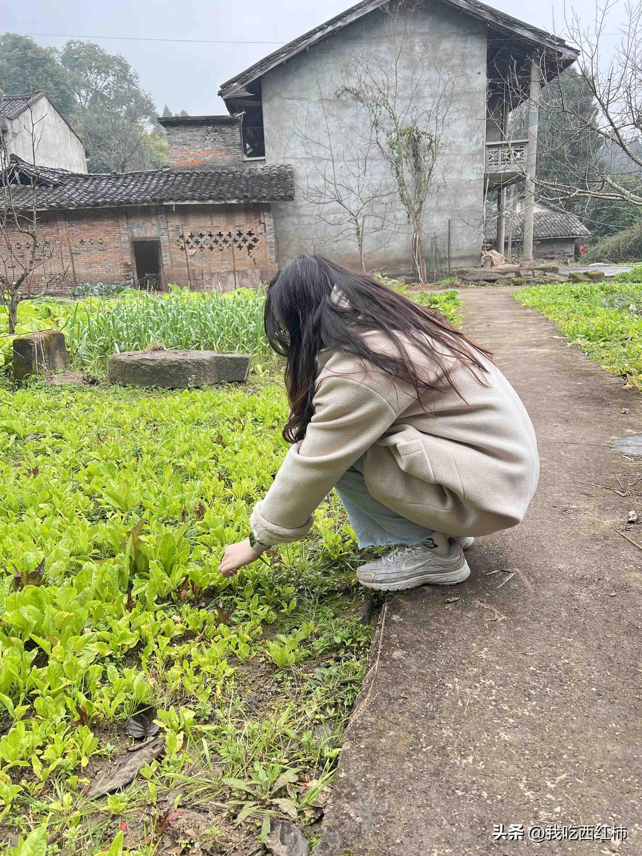 土木人裸辞，家人的反应很现实
我以为的辞职后是开开心心，至少先风光几个月
没想到