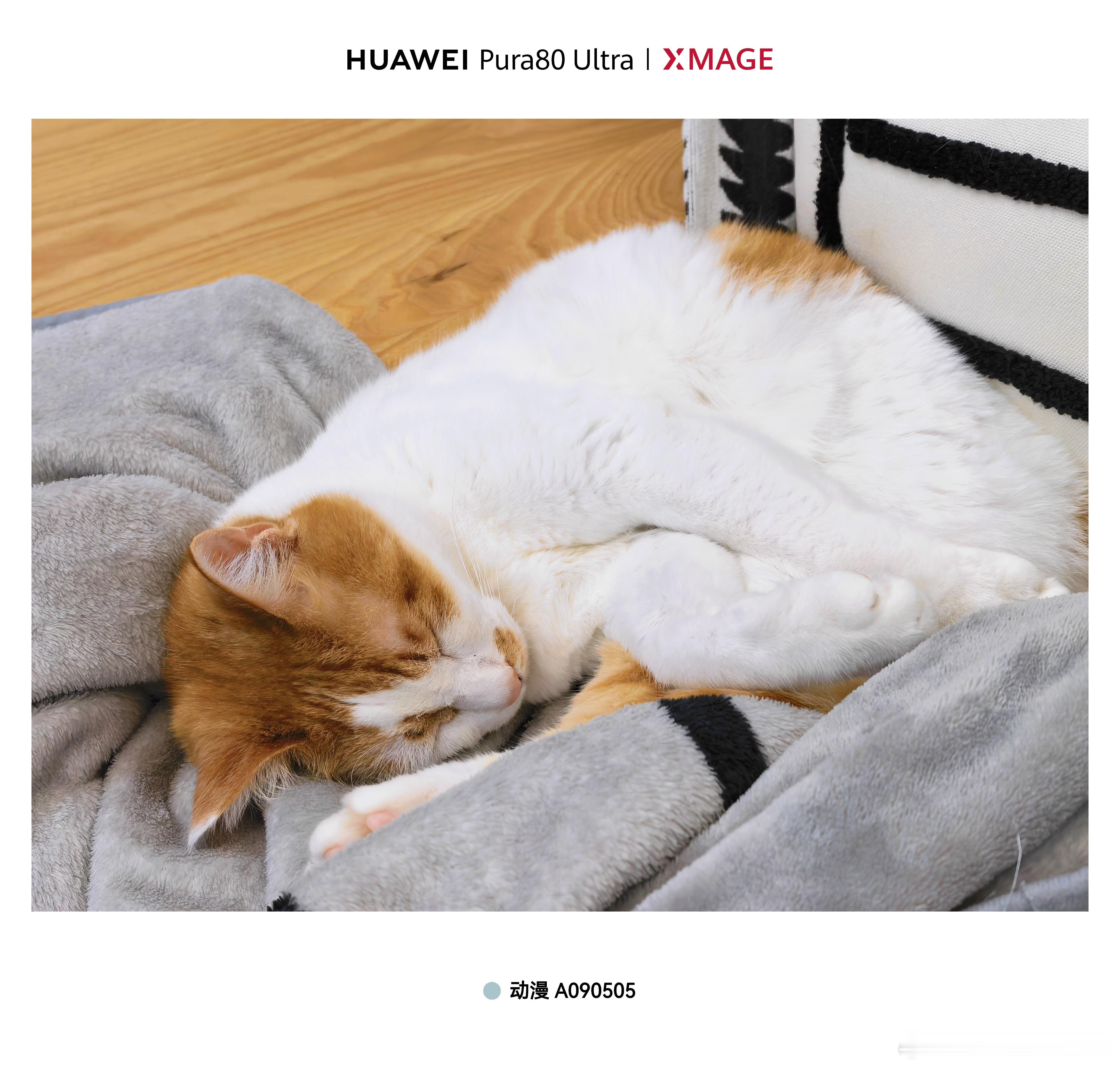 橘二向你发来晚安[月亮] ​​​