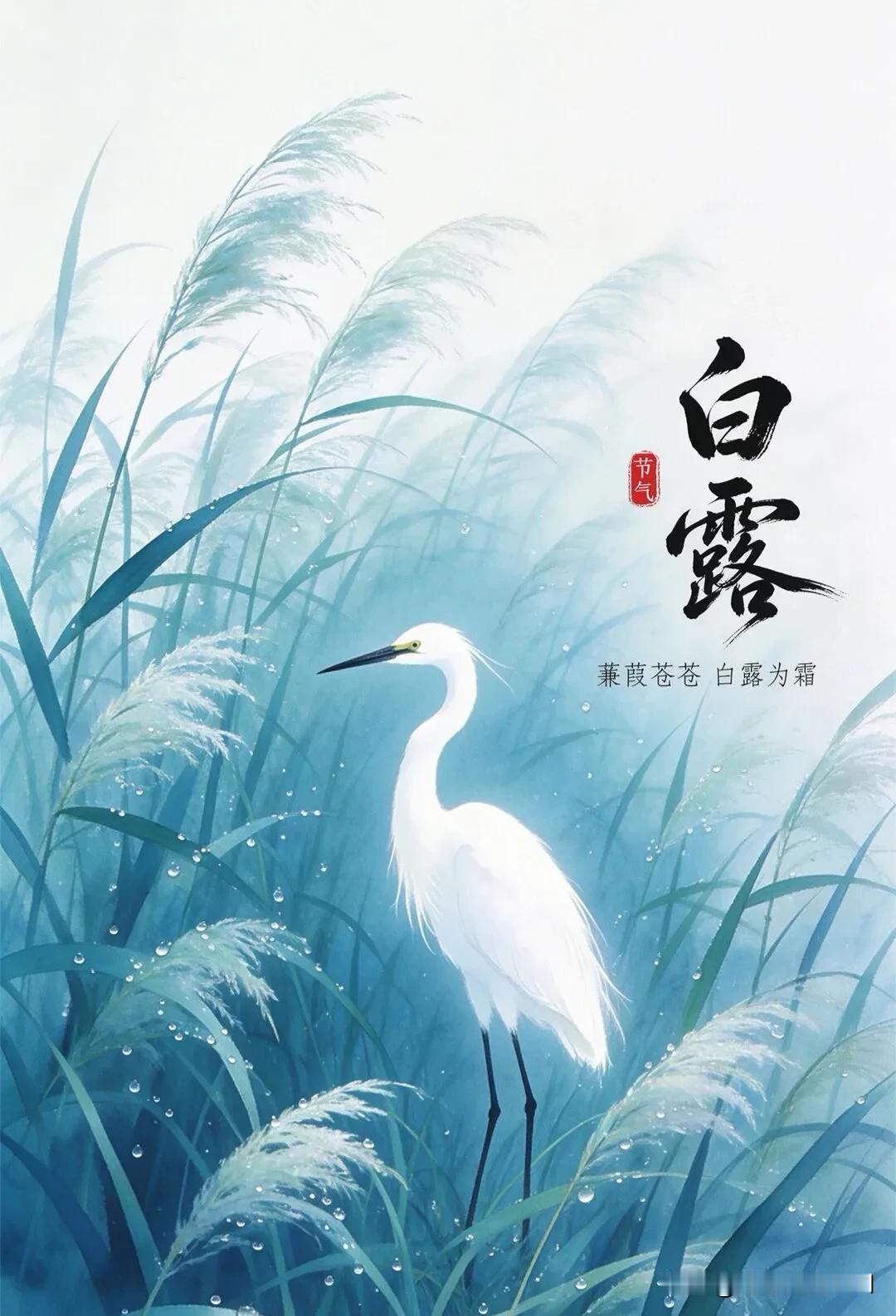 北方白露习俗主要集中在三个方面：
一是饮食进补：讲究“补露”防秋燥，多吃核桃、红