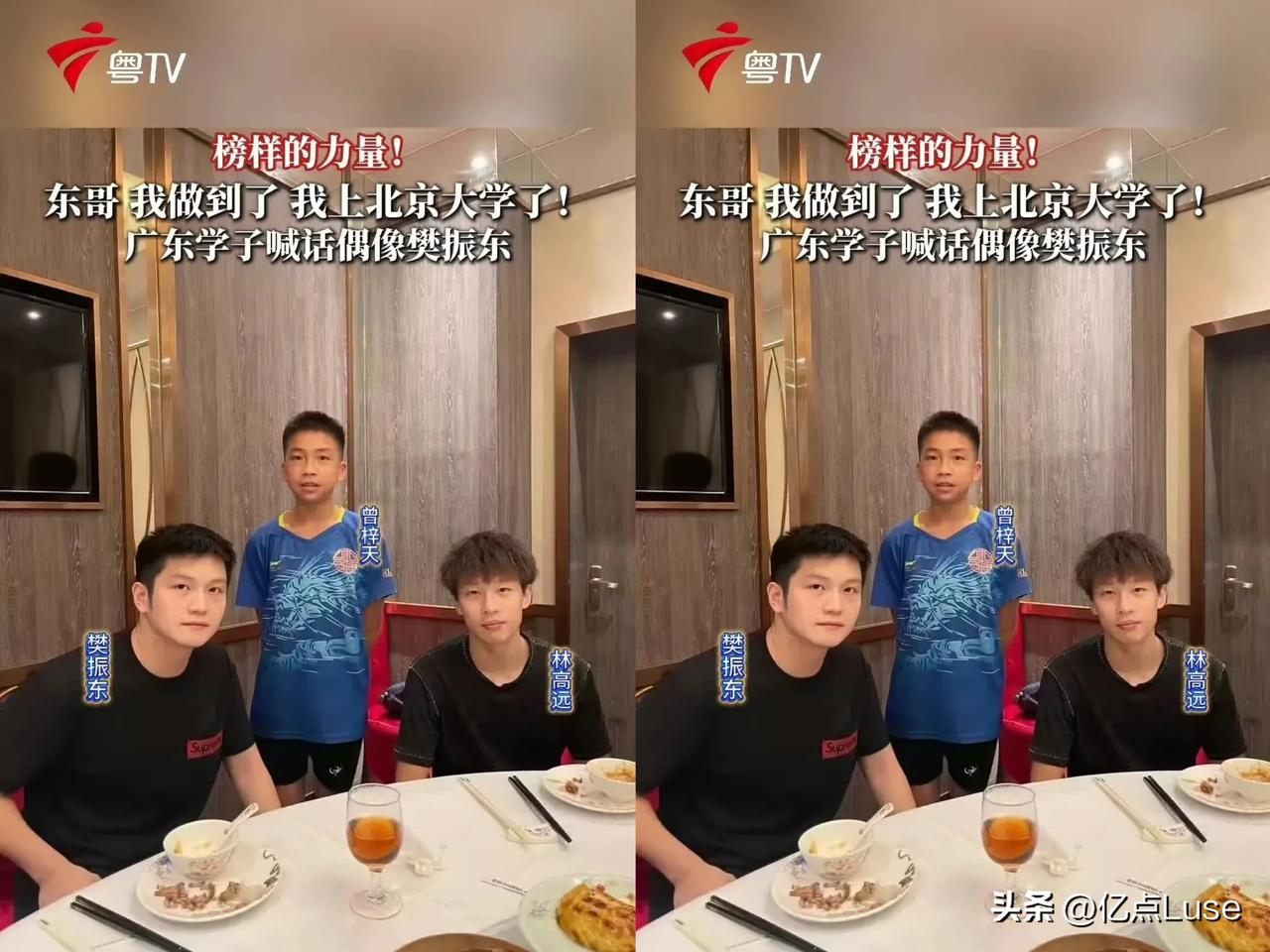 樊振东这下要哭了，并非因比赛输了谁，而是跟他合过影的男孩，今年高考通过乒乓球特招