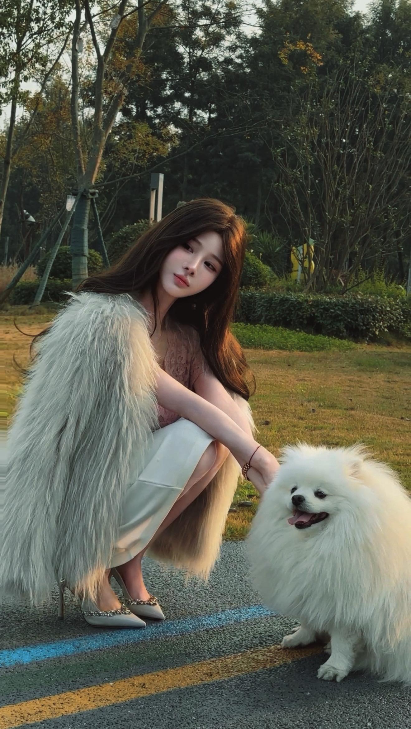 今天给我家狗狗露个相 颜值这一块绝对随主人