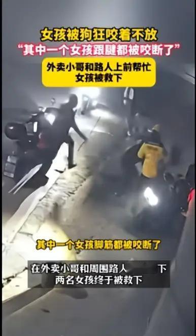 近日，广东汕头。两名女生骑着电动车被狗追咬，大狗追咬女孩不放，女孩尖叫不止，路过