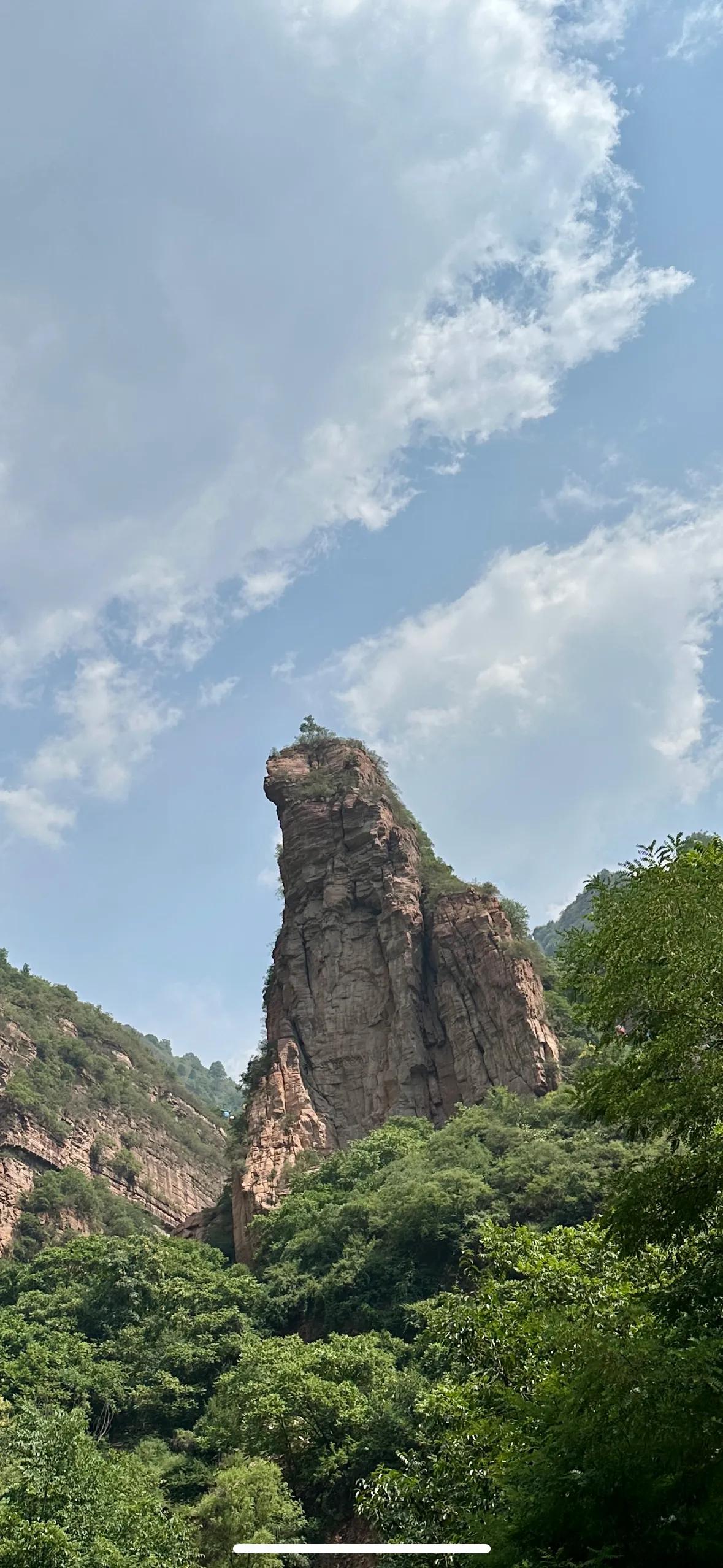 杨过的座驾，大雕