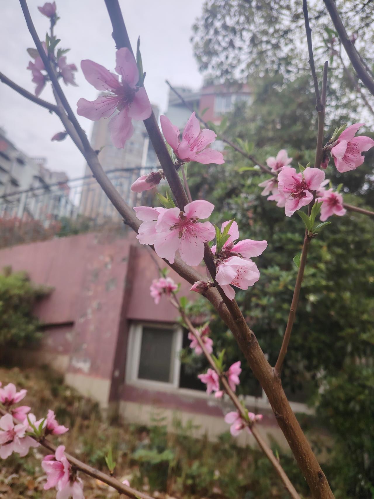 有时候，我们太想弄明白一件事的来龙去脉，却忘了对方沉默的背后，或许藏着难以言说的