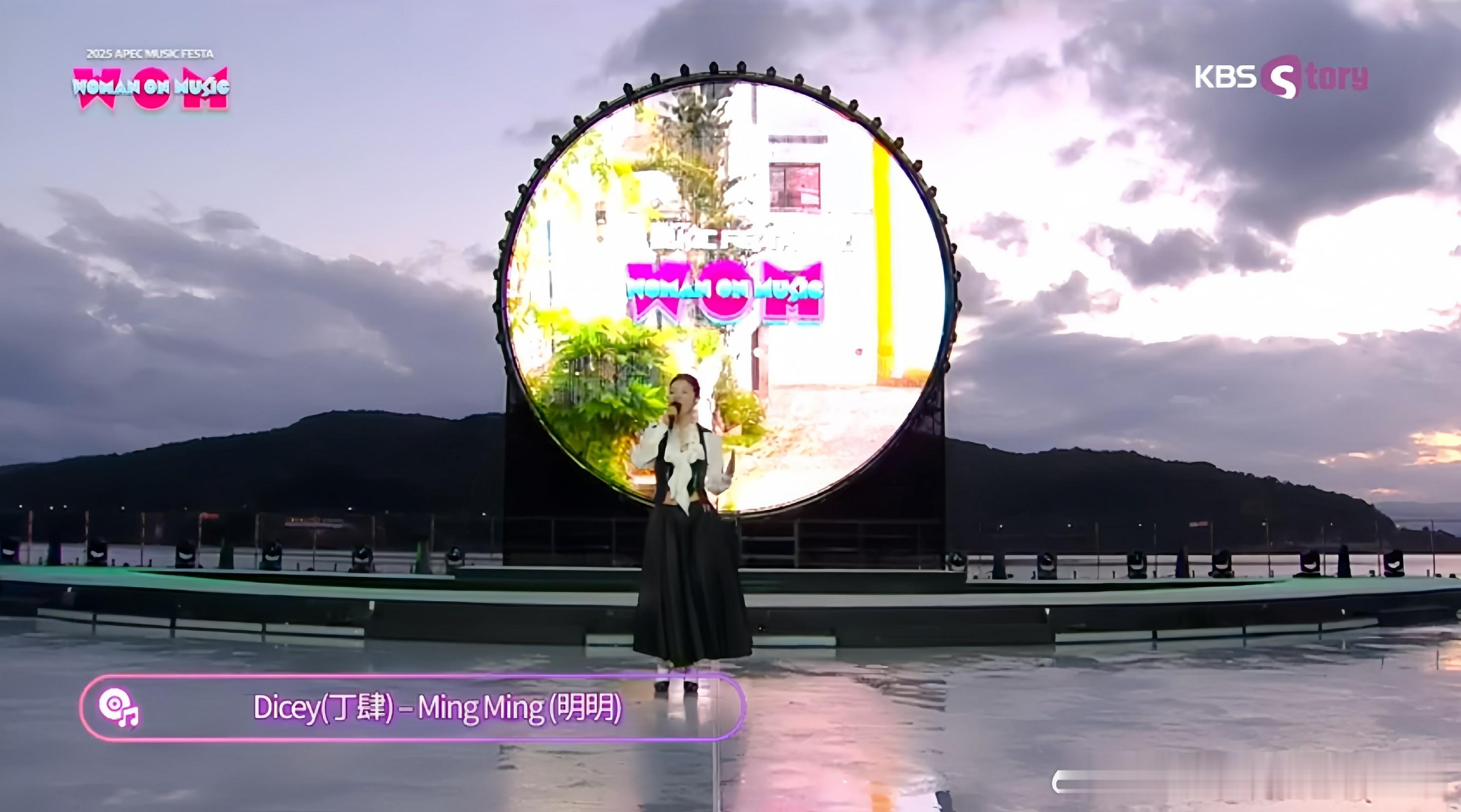 丁肆受邀站上韩国APEC舞台-中国流行文化主动出海的“她力量” 