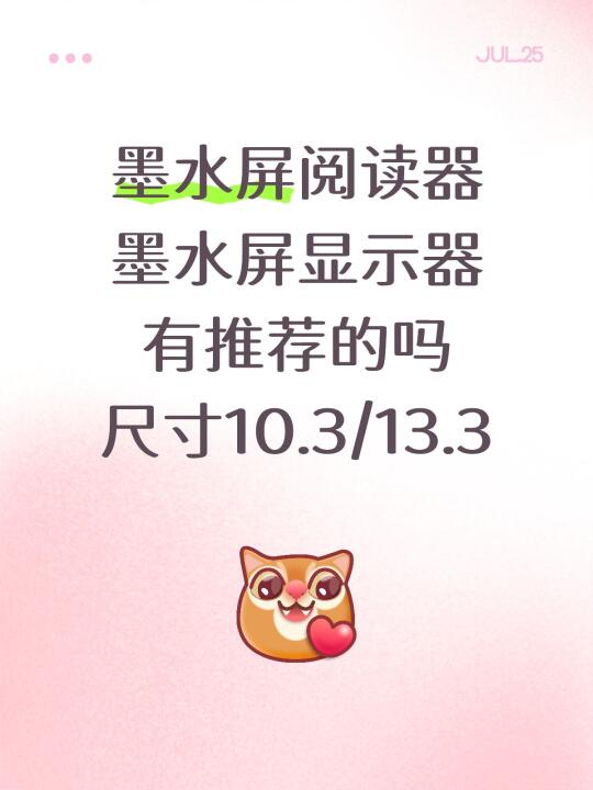 墨水屏阅读器 墨水屏显示器 有推荐的吗 尺寸10.3/13.3 想买来...
