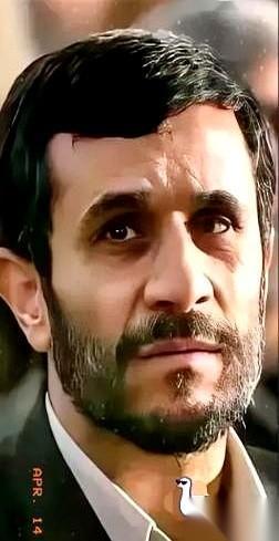 每4个伊朗人里，就有1个做好了随时没命的准备。
这不是形容词，而是真实发生的登记