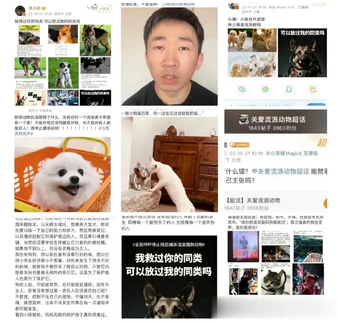 明星集体为流浪狗发声：过度夸大还是有必要的提醒？

娱乐圈突然集体为流浪狗发声。