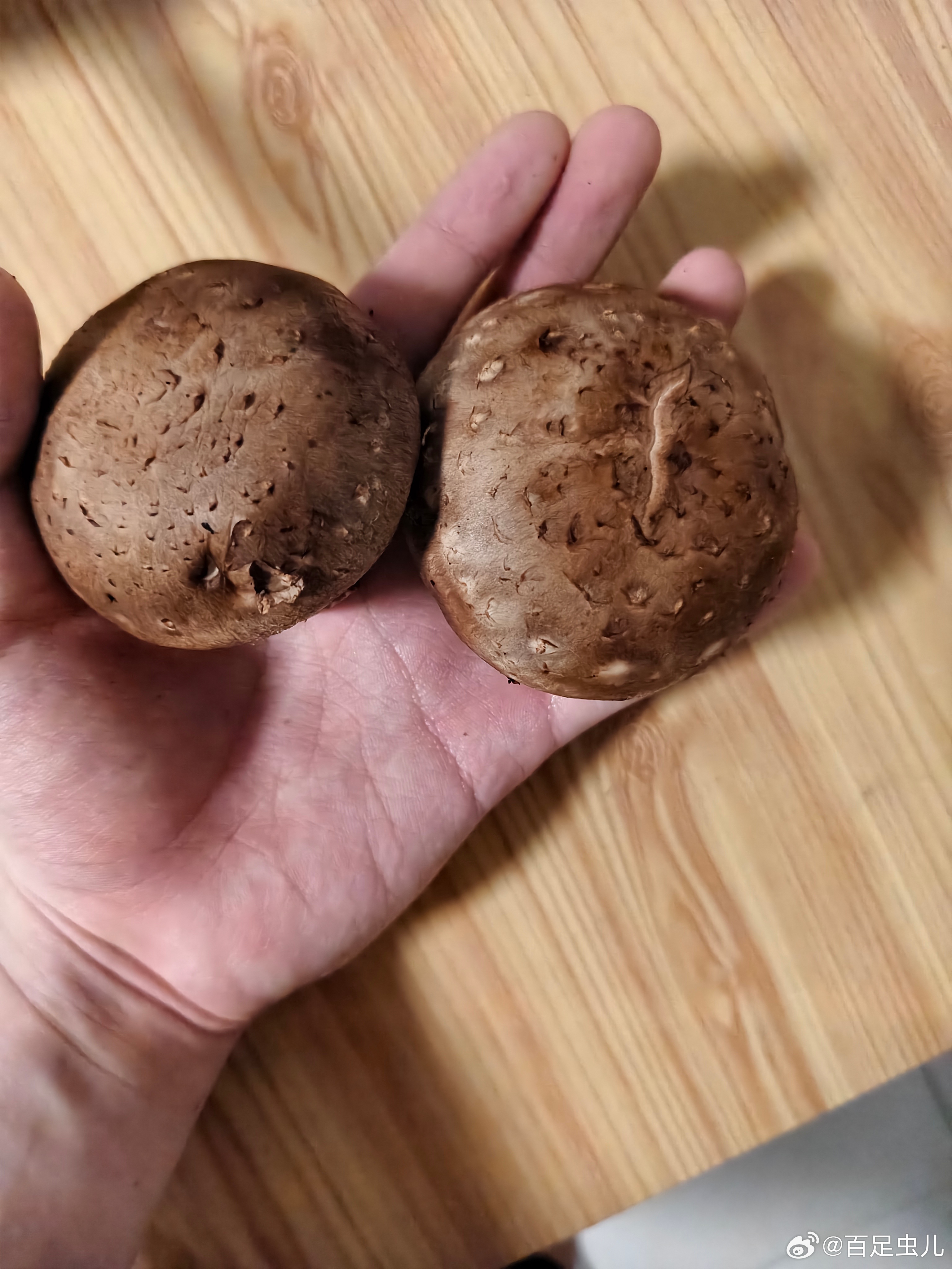 哇塞，这个香菇长得很香菇啊。一会拿来蒸鸡腿用嘿嘿(✿︶‿︶) 