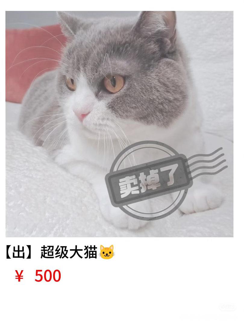 想买 ​​​