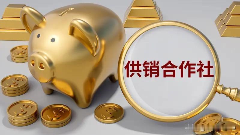 一切都是；不能脱离；娃哈哈构造；重新布局定义；投资资本的、市场输出的融合；一切为