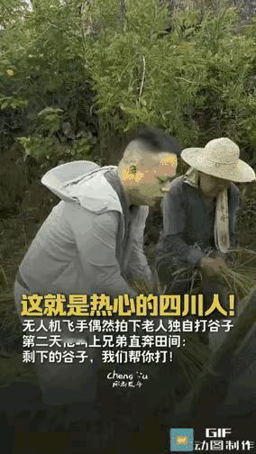 “破防了。”四川广安一位小学音乐老师李江，原本只是想用无人机拍点稻田丰收的景色。