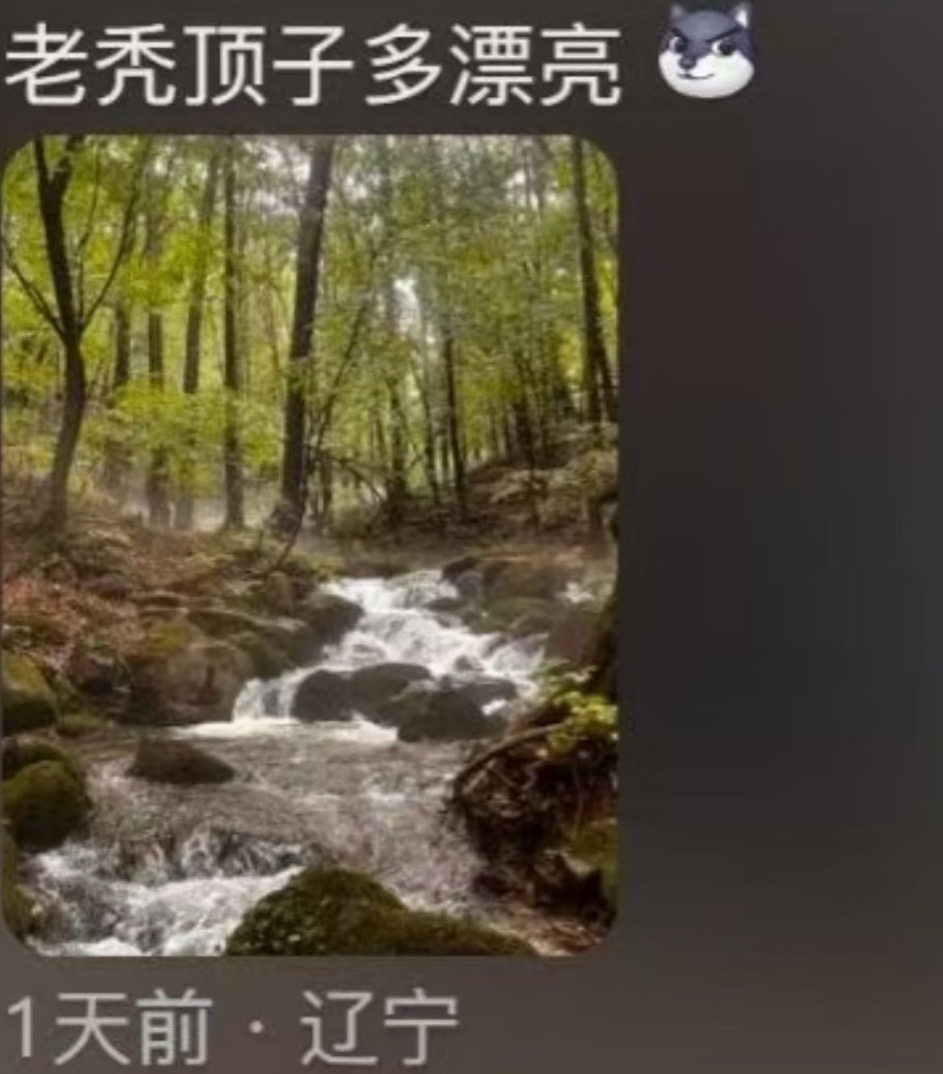 东北人应该被禁止给景点起名好搞笑啊哈哈哈哈哈，景点名字怪成这样我真的要去看一看了