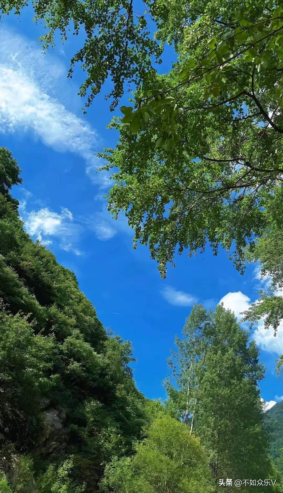 不抱希望了！
对于今天的盘面，没有任何期待。我已经基本空仓了！
根据以往的状态，