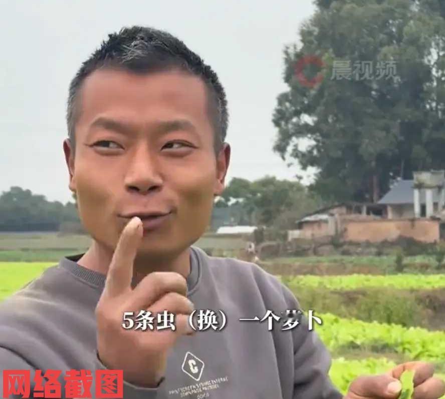 四川有老板做生意做出了太多精明。

原来以前布局偷甘蔗活动结束后，如今老板又想出