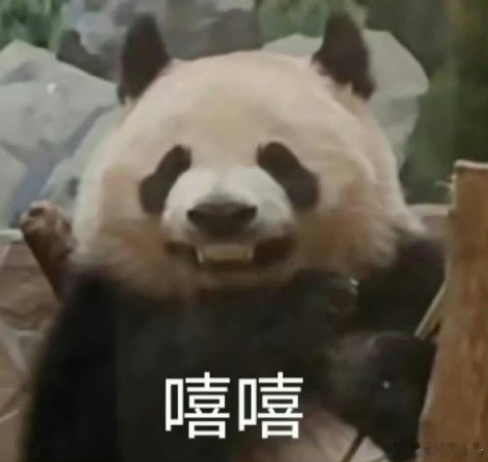 我没想过票房怎么样，感觉这次很稳，剧情是王道啊，请好吧