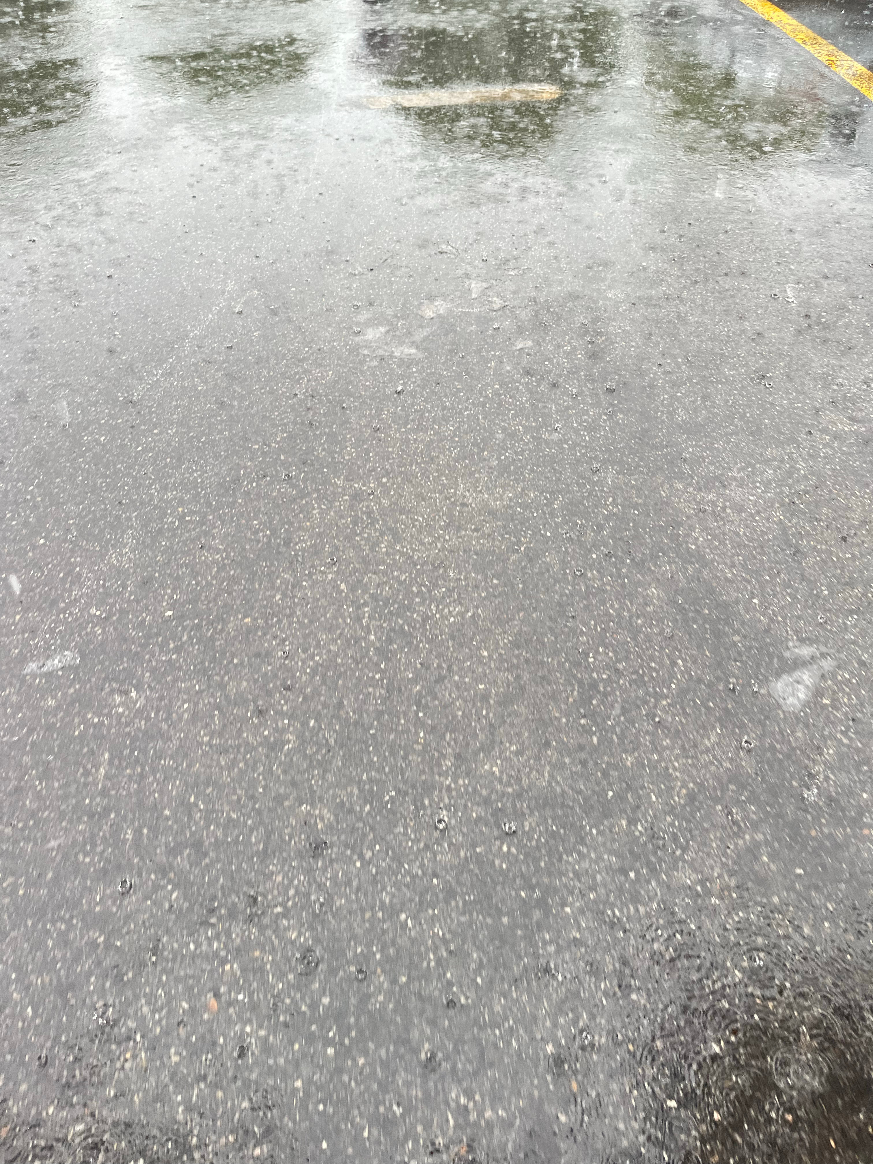[淡淡的]牛马只会冒着大雨继续前进.... ​​​