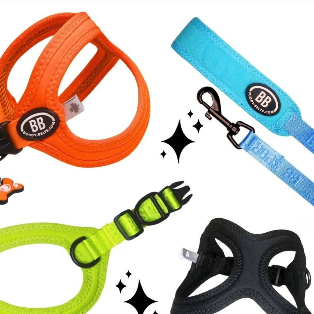 rich宝宝宠粉福利来咯快来薅羊毛！