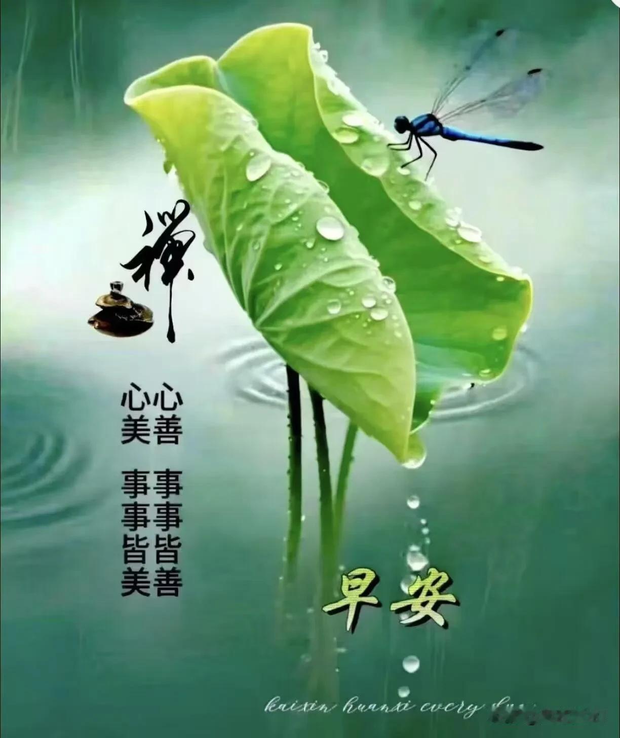 清晨微风捎来温柔，放下昨日烦恼，今天只管闪闪发光。