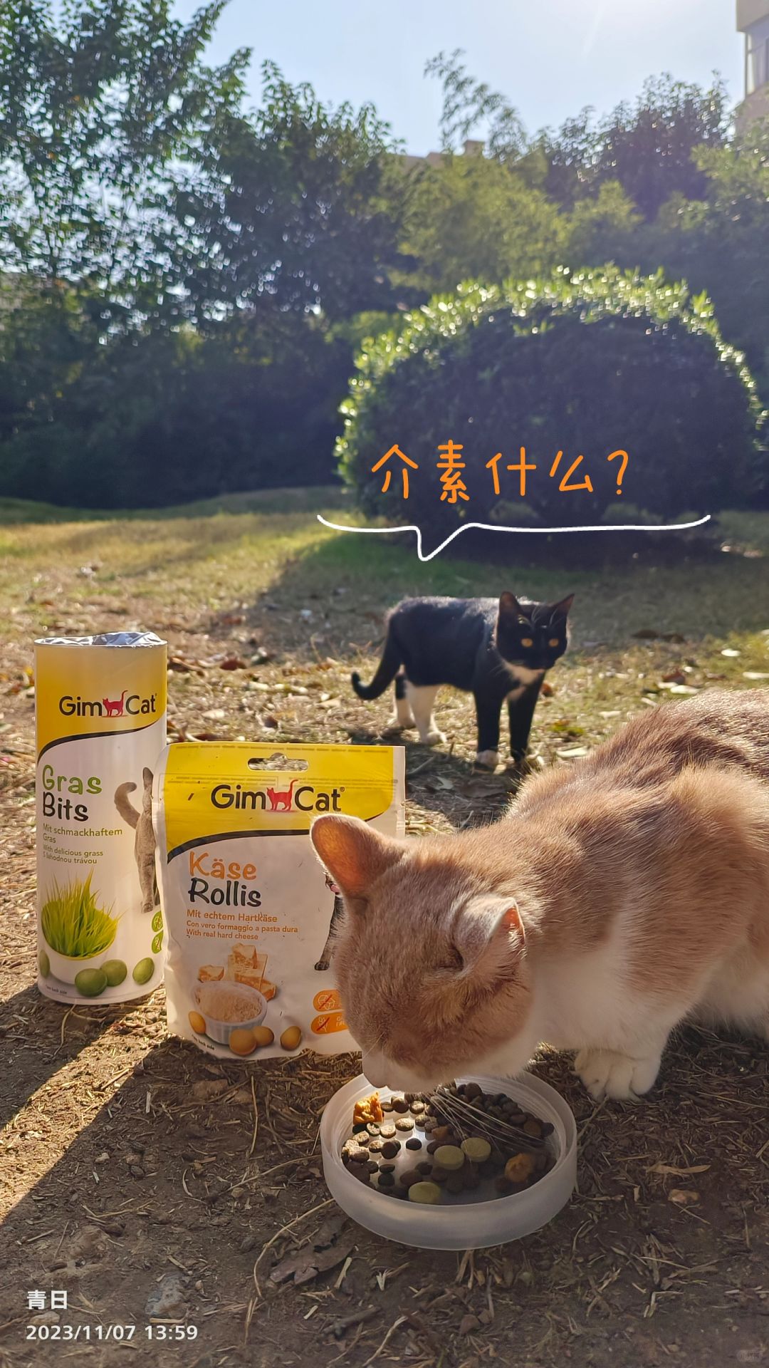 全校最出片的模特们