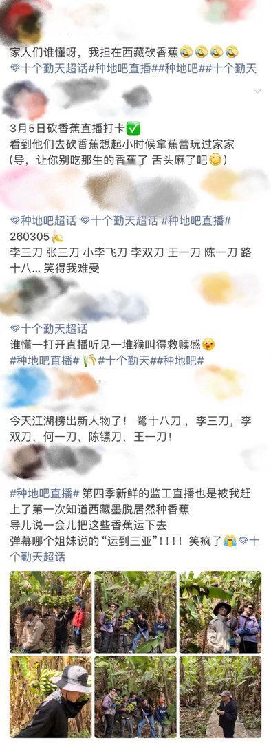 十个勤天十个刀郎 禾伙人的梗就没让我失望过，十个勤天砍个香蕉直接变十个刀郎，笑崩