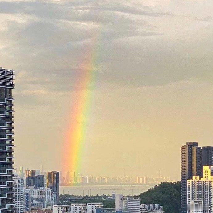 3s转发 未来三天诸事顺利 