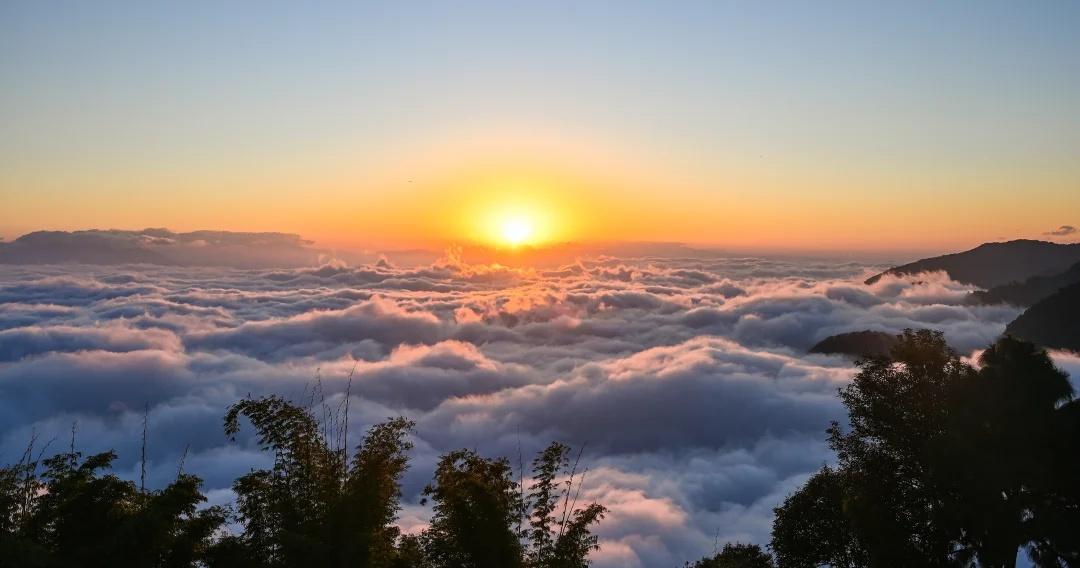 精品小团｜哀牢山2日野线徒步：闯入原始森林
精品小团｜哀牢山2日野线徒步：闯入原