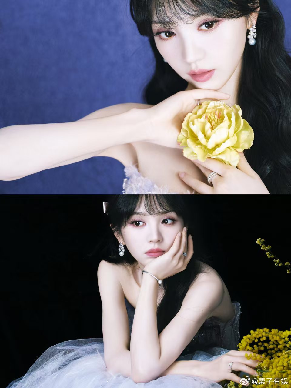 田曦薇生命在肆意生长田曦薇花朵大片田曦薇生命在肆意生长，太美了，