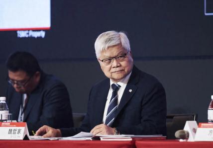 最近，台积电董事长魏哲家称，台积电稀土告急，求大陆放手？

台积电以创始人张忠谋