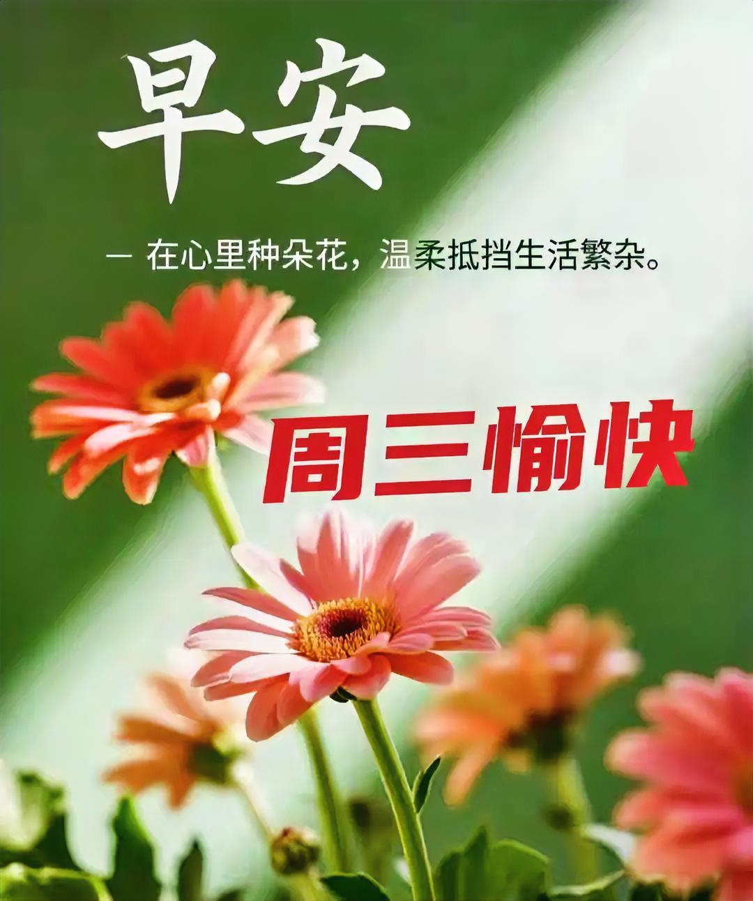 早安！心中种朵小花，温柔抵御生活繁杂。周三愉快，元气满满开启新一天！
分享清晨美