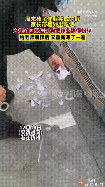 浙江杭州一个女孩周末在家认真地写作业，父母为了奖励她，于是在她写完作业之后，带着