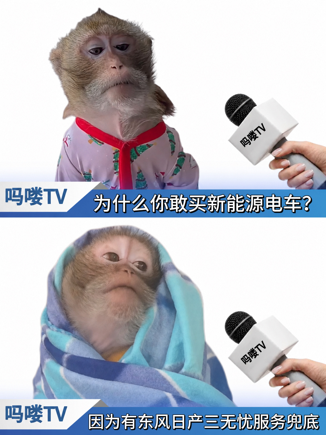 新能源车天价续保的困局谁来破  新能源车小修不敢走保险怕保费暴涨、三电质保套路重