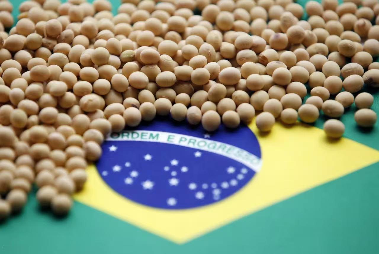 很多人问，中国会不会恢复从而美国进口大豆？按照贝森特的话说，可能会恢复。此外，这