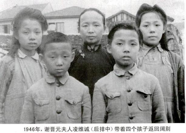 1949年，国军将领谢晋元遗孀带着几十名老部下在街上流浪，陈毅在得知以后，立马暂