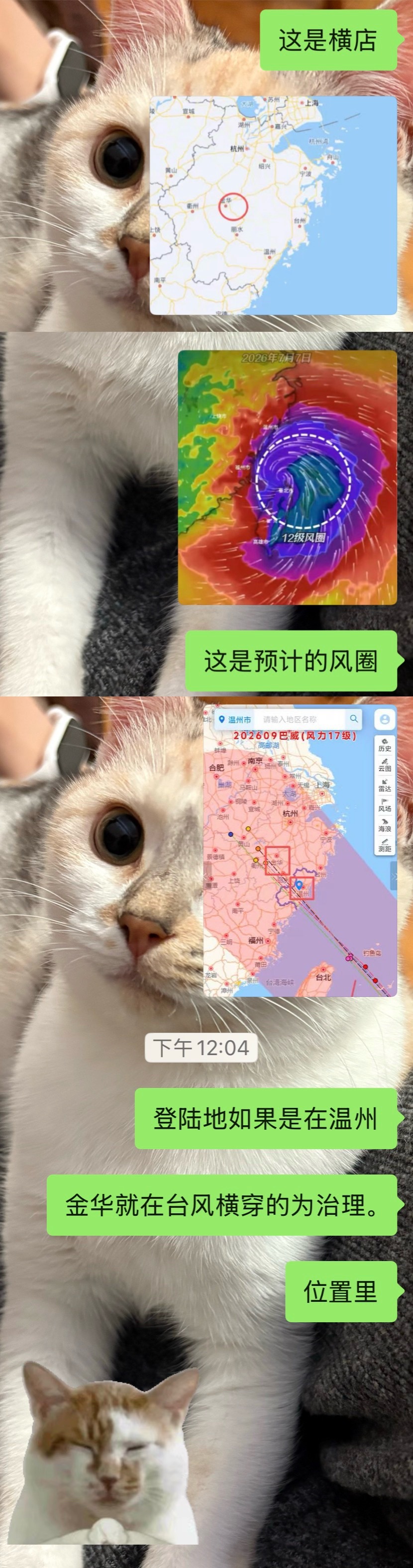 有一个颤颤巍巍的宁波人每天给人严肃分析台风天出行的风险（ 