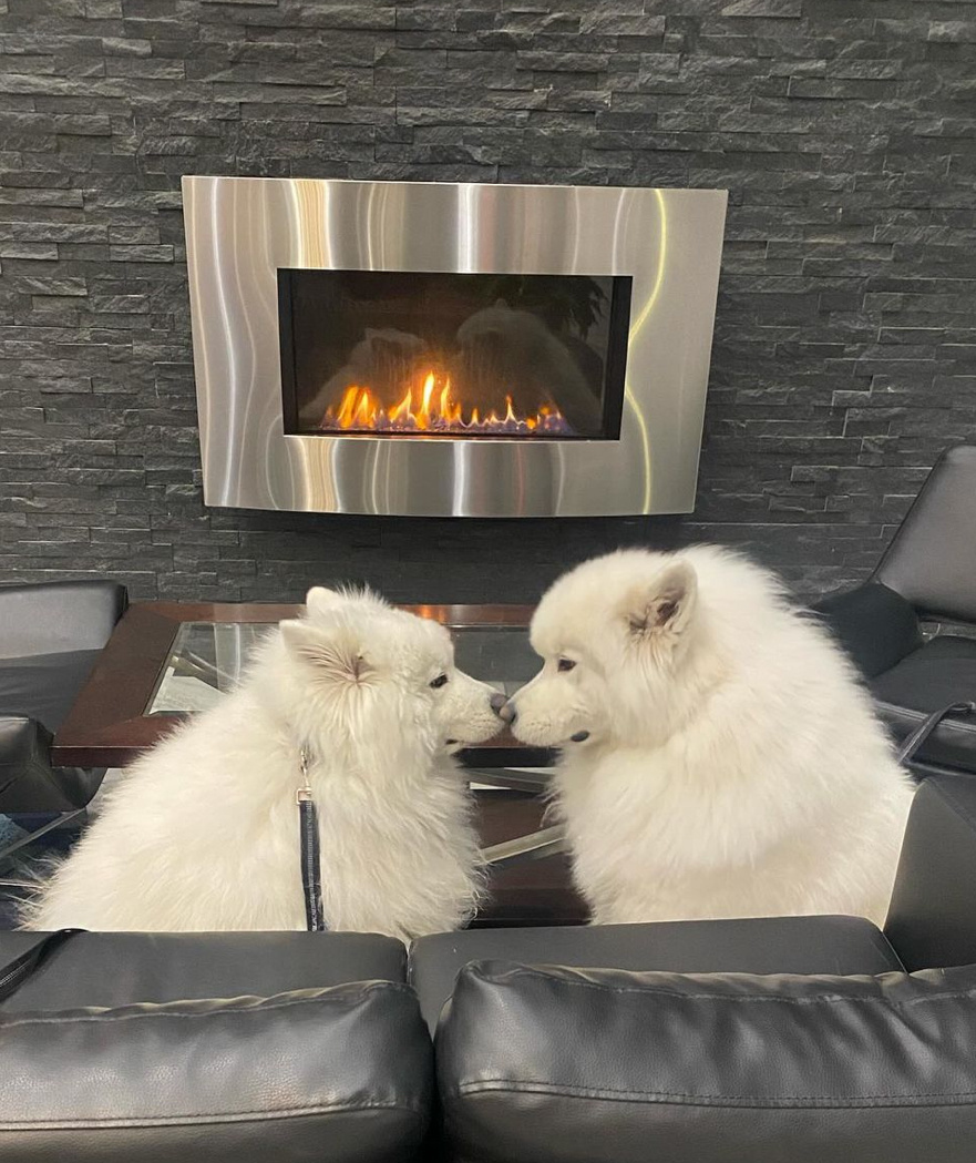 老实交代，你把私房罐都藏哪里了耶 ​​​